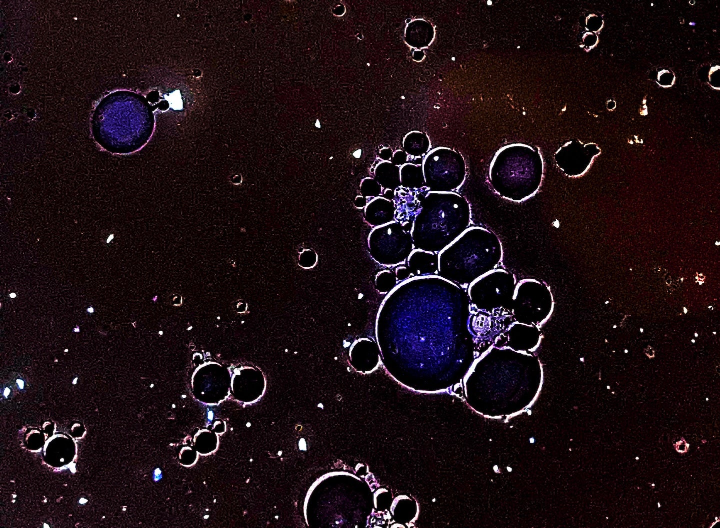 an image of droplet formations in protein aggregation
